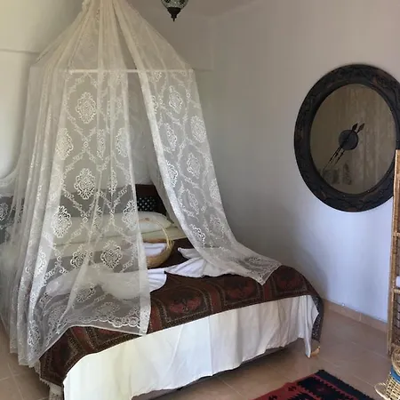 Alojamento de Acomodação e Pequeno-almoço Zirkon Doga Butik *