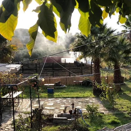 Zirkon Doga Butik Alojamento de Acomodação e Pequeno-almoço Fethiye
