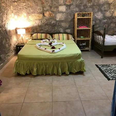 Feriehus Zirkon Doga Butik *