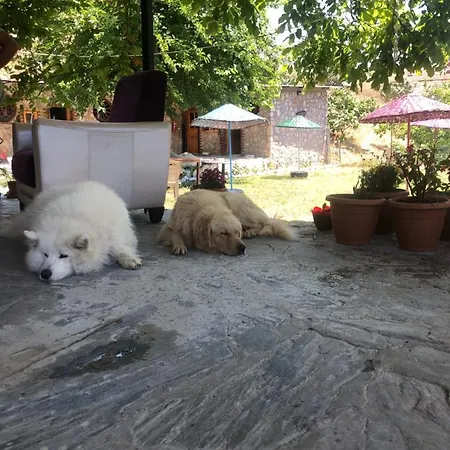 Zirkon Doga Butik Сasa de vacaciones *