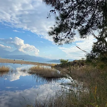 Сasa de vacaciones Zirkon Doga Butik