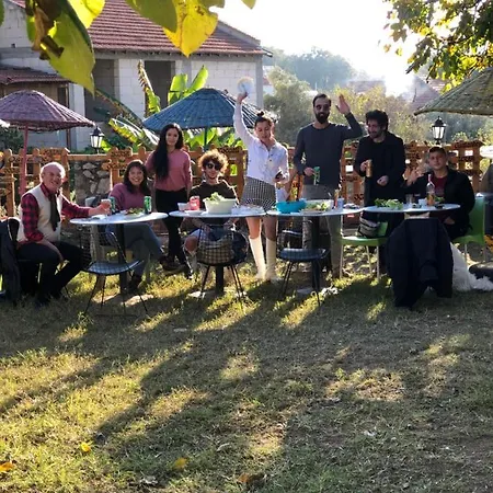 Dom wakacyjny Zirkon Doga Butik