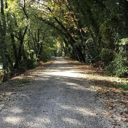 Feriehus Zirkon Doga Butik *