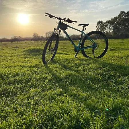 Zirkon Doga Butik * 페티예