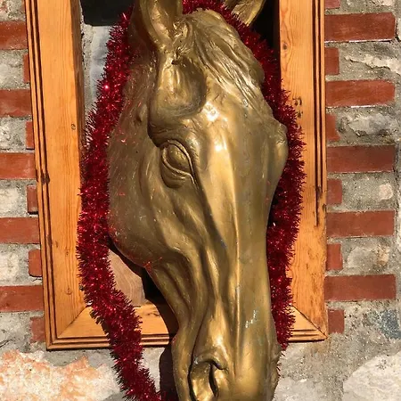 Zirkon Doga Butik Сasa de vacaciones Fethiye