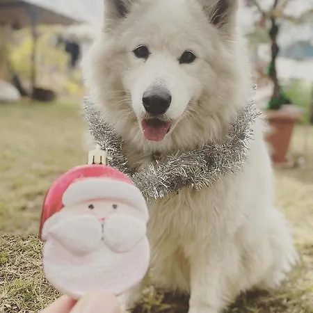 Zirkon Doga Butik 펜션