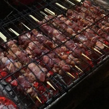 Feriehus Zirkon Doga Butik *