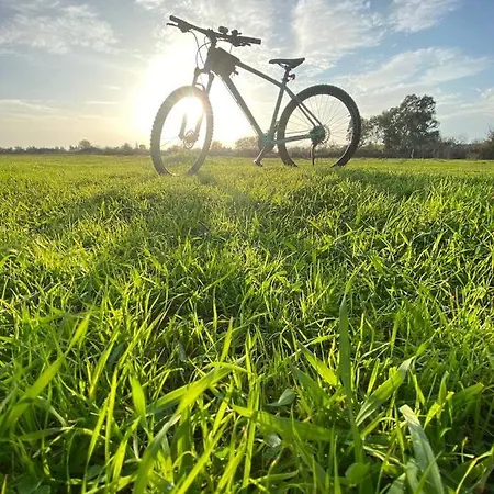 Zirkon Doga Butik Feriehus