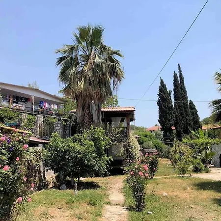 Zirkon Doga Butik 페티예