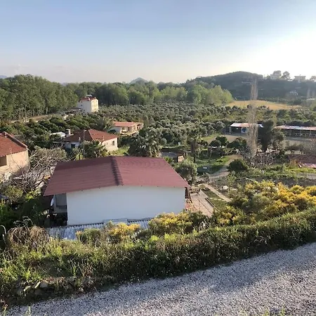 Zirkon Doga Butik 펜션 페티예