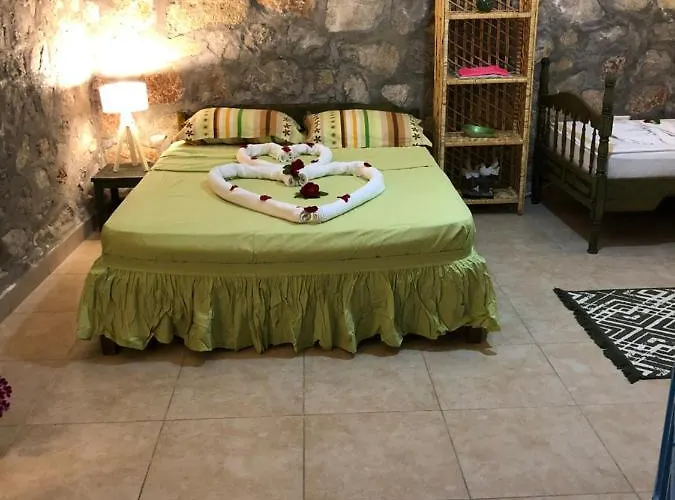 Dom wakacyjny Zirkon Doga Butik *