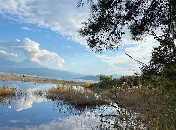 Dom wakacyjny Zirkon Doga Butik