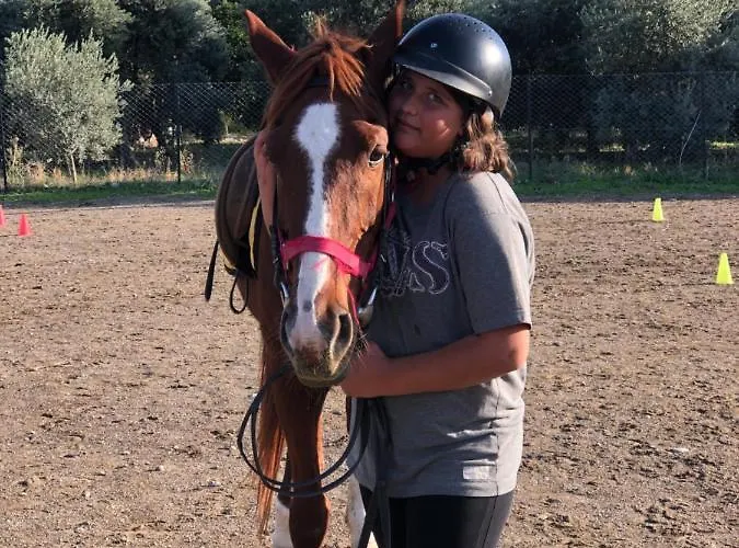 Zirkon Doga Butik Dom wakacyjny *