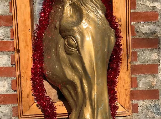 Zirkon Doga Butik Dom wakacyjny Fethiye