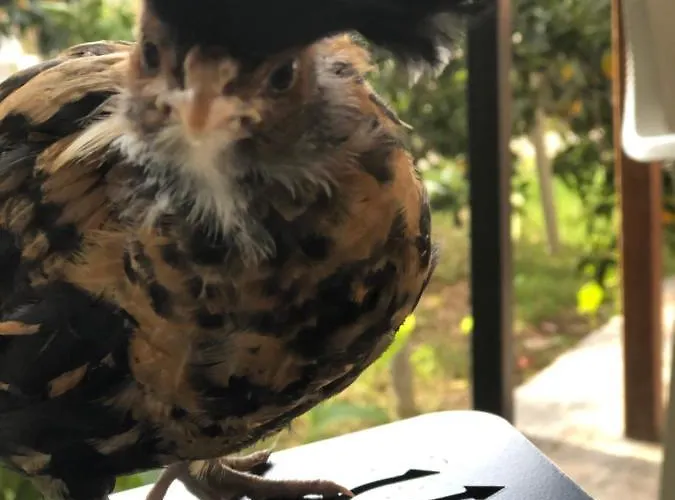 Zirkon Doga Butik Fethiye