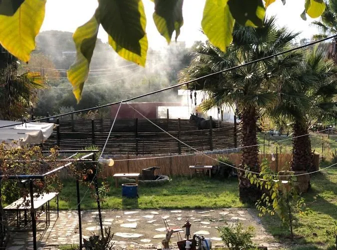 Zirkon Doga Butik Dom wakacyjny Fethiye