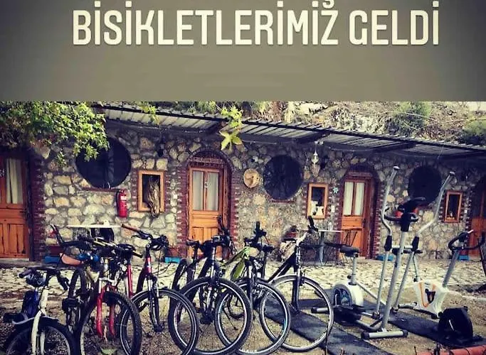 Zirkon Doga Butik Dom wakacyjny